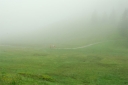 Wanderer irren durch den Nebel