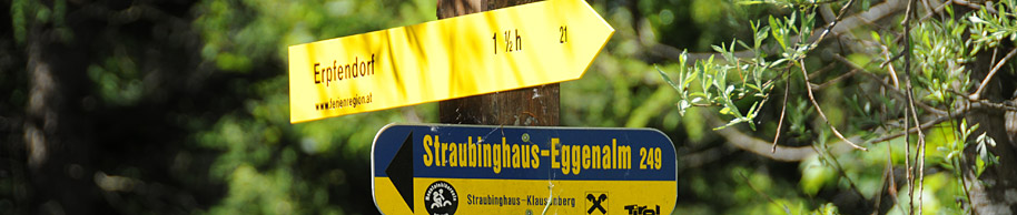 Straubingerhaus - Eggenalm - MTB-Tour bei St.Johann | 
